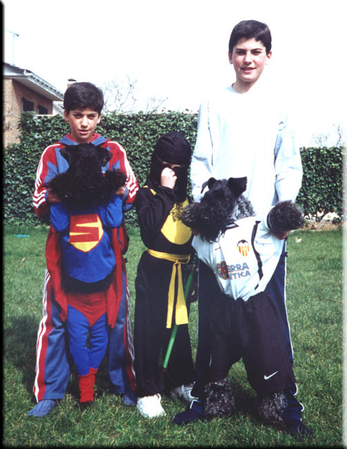 Kerry Blue Terrier de La Cadiera. Otto y Pepa Bandera en los Carnavales
