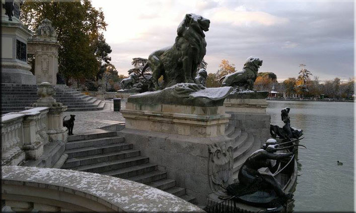 Kerry Blue Terrier de La Cadiera. Darcy entre leones