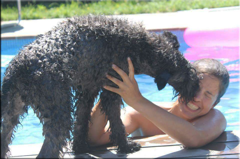 Kerry Blue Terrier de La Cadiera. Kris con Kerry Kei