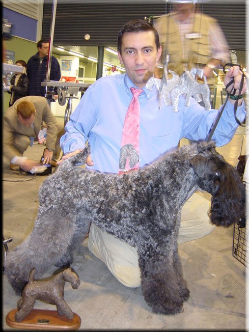 Kerry Blue Terrier de La Cadiera. Monografica 2003