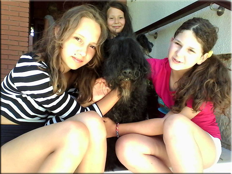 Kerry Blue Terrier de La Cadiera. El viejito Vicario con las niñas !