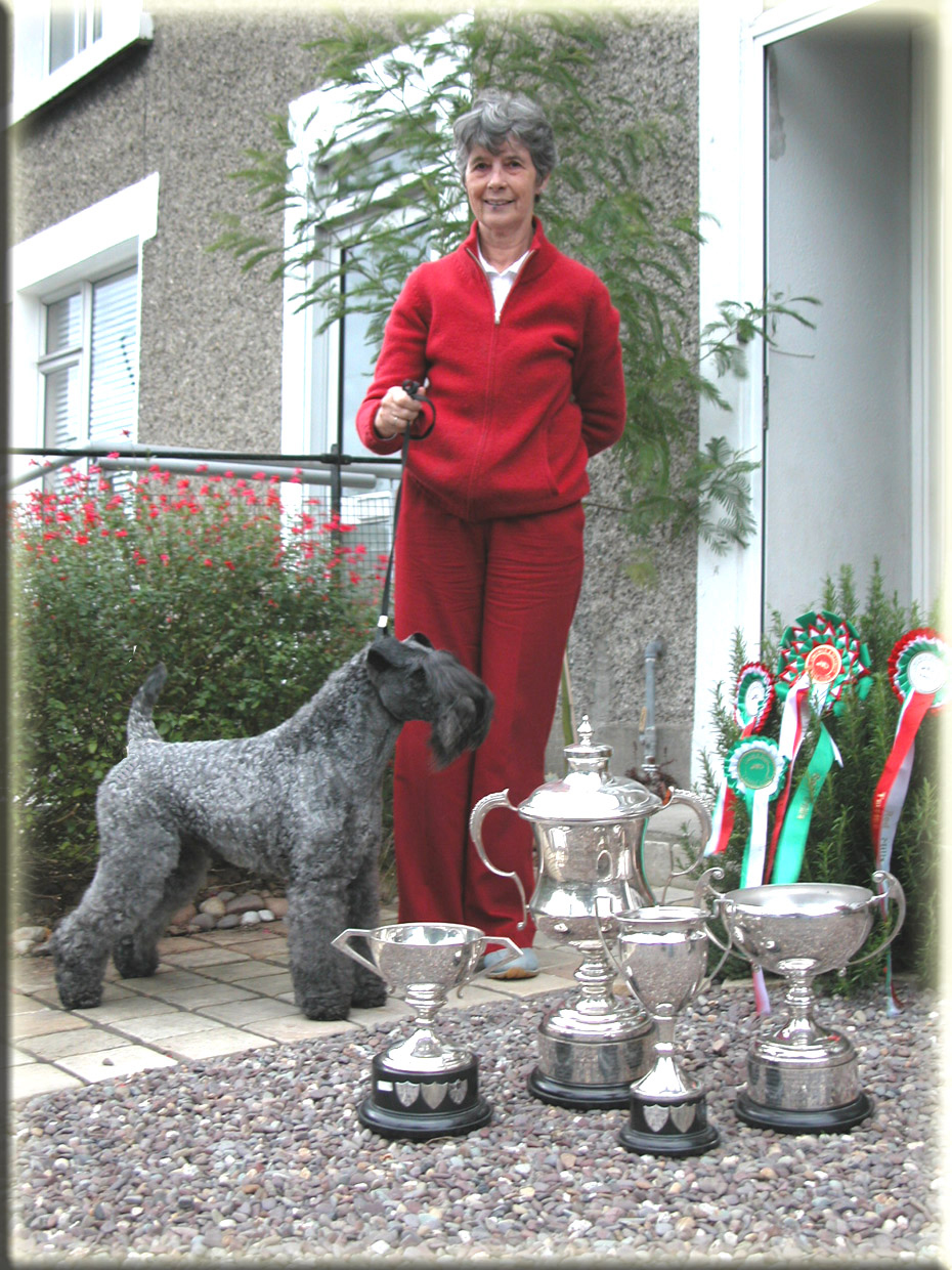 Kerry Blue Terrier de La Cadiera. Multi Ch. El Virginiano de La Cadiera en Irlanda. Kerry Blue Terrier.