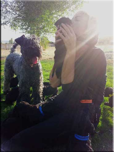 Kerry Blue Terrier de La Cadiera. Maribel con camada 2Z