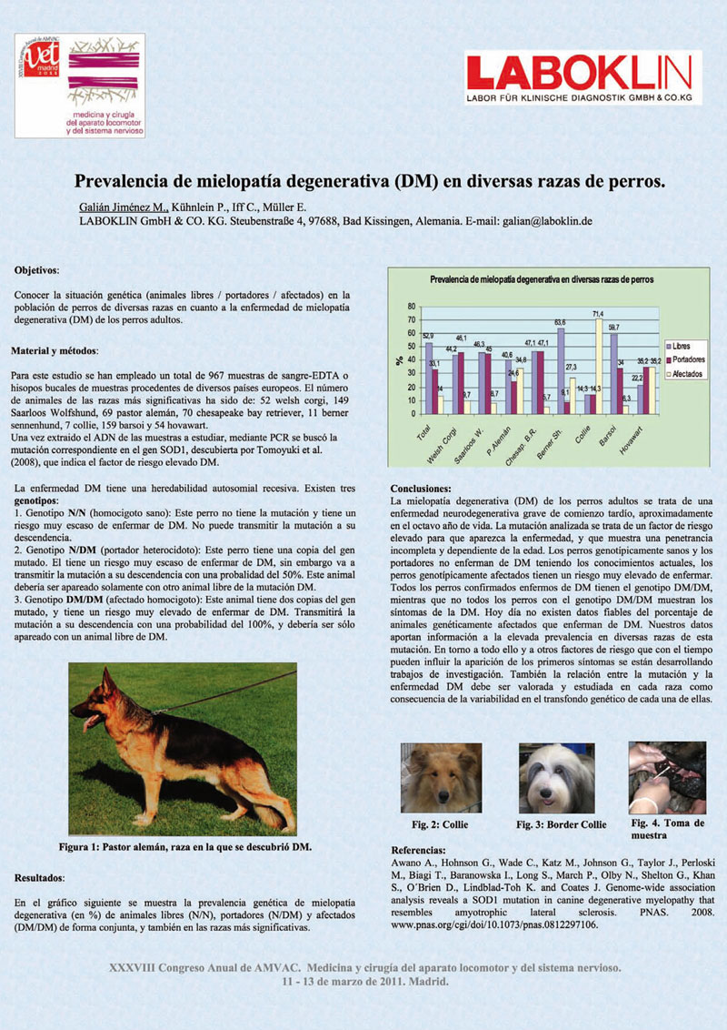 Kerry Blue Terrier de La Cadiera. 