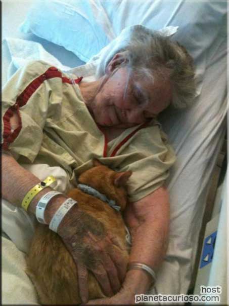 Kerry Blue Terrier de La Cadiera. 