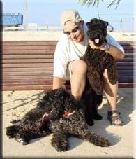 Kerry Blue Terrier de La Cadiera. Emilio con Dina y Duke Kerry Blue Terrier de La Cadiera. Emilio con Dina y Duke