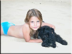 Kerry Blue Terrier de La Cadiera. Debra con el Comandante Han-Solo Kerry Blue Terrier de La Cadiera. Debra con el Comandante Han-Solo