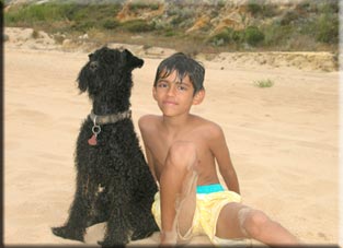Kerry Blue Terrier de La Cadiera. Héctor con el Comandante Han-Solo Kerry Blue Terrier de La Cadiera. Héctor con el Comandante Han-Solo