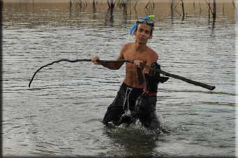 Kerry Blue Terrier de La Cadiera. Héctor ahora con Han jugando en el agua Kerry Blue Terrier de La Cadiera. Héctor ahora con Han jugando en el agua