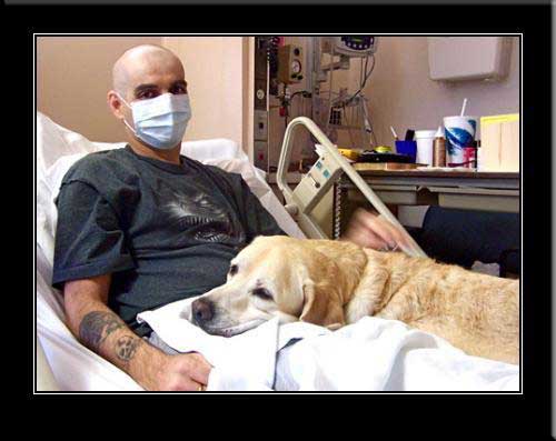 Kerry Blue Terrier de La Cadiera. 