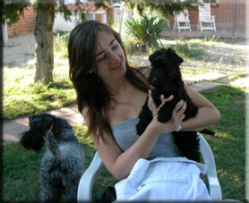 Kerry Blue Terrier de La Cadiera. Jennyfer con Las Lilus madre e hija !!! Kerry Blue Terrier de La Cadiera. Jennyfer con Las Lilus madre e hija !!!