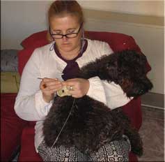 Kerry Blue Terrier de La Cadiera. Kerry Blue Terrier de La Cadiera.