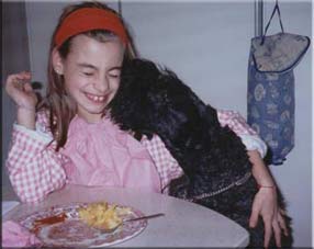 Kerry Blue Terrier de La Cadiera. Geure con Lucia de pequeños