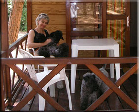 Kerry Blue Terrier de La Cadiera. Maribel con Rocco