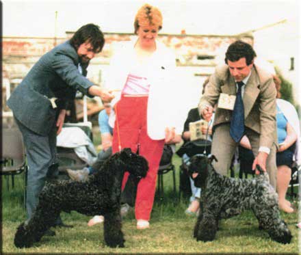 Kerry Blue Terrier de La Cadiera. Mr. Sean Delmar y Mr. Paul Martin en Irlanda