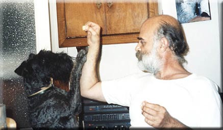 Kerry Blue Terrier de La Cadiera. Tariq con Manuel Kerry Blue Terrier de La Cadiera. Tariq con Manuel