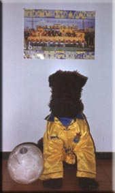 Kerry Blue Terrier de La Cadiera. Kevin-Costner de La Cadiera es Vinny