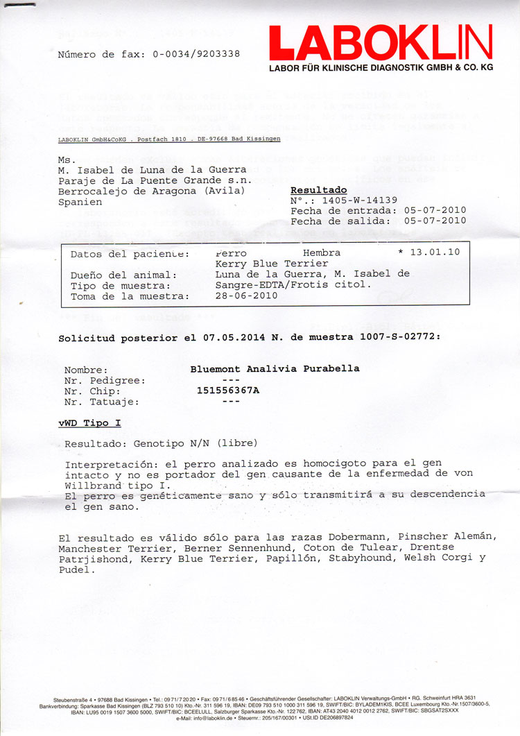 Kerry Blue Terrier de La Cadiera. "Informe Oficial Laboklin Anita vWD"