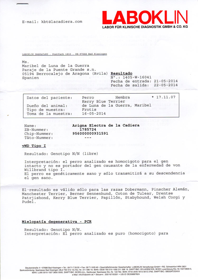 Kerry Blue Terrier de La Cadiera. "Informe Oficial Laboklin Electra vWD y DM"