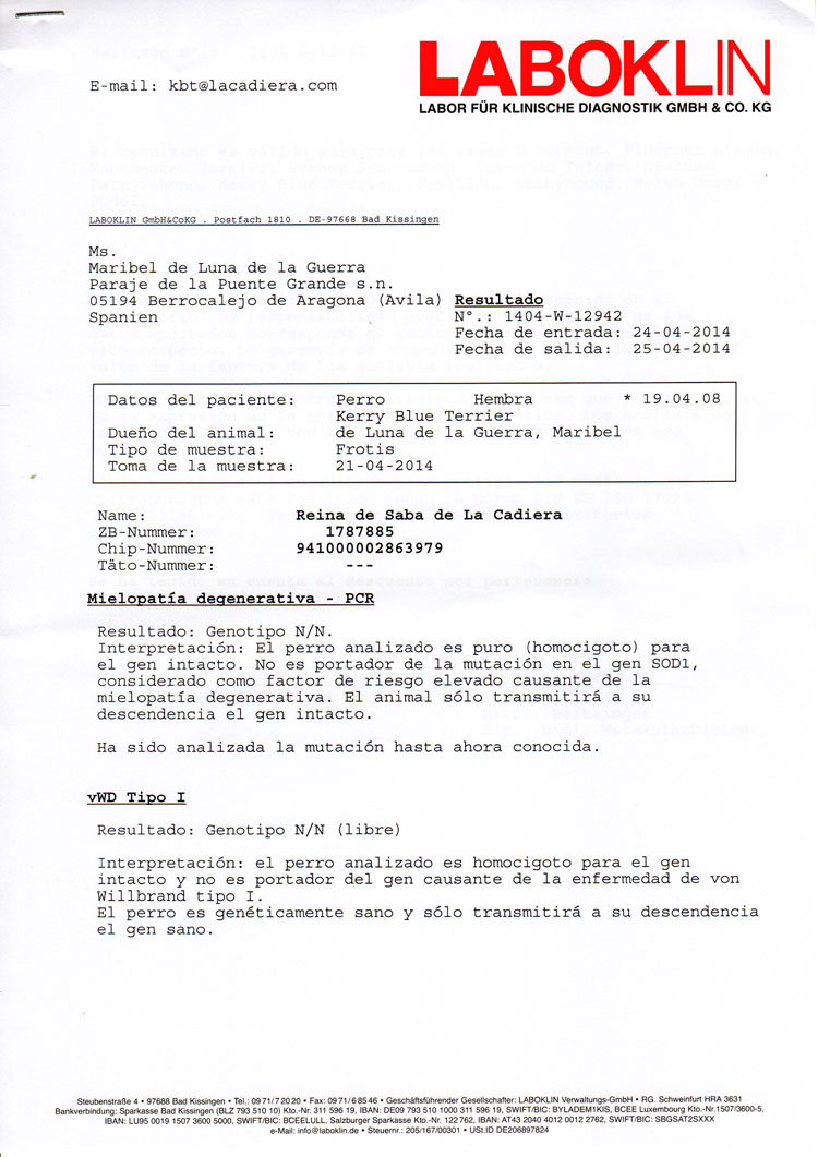 Kerry Blue Terrier de La Cadiera. "Informe Oficial Laboklin Frida vWD y DM"
