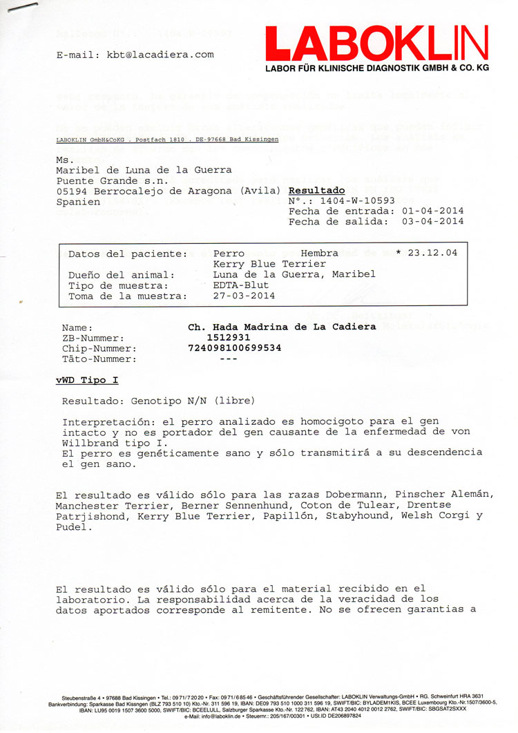 Kerry Blue Terrier de La Cadiera. "Informe Oficial Laboklin vWD"