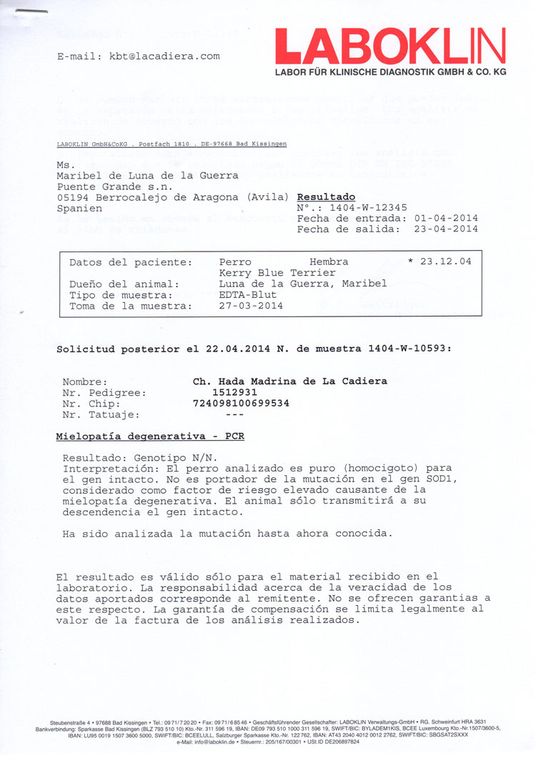 Kerry Blue Terrier de La Cadiera. "Informe Oficial Laboklin  DM"