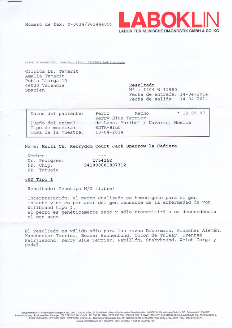 Kerry Blue Terrier de La Cadiera. "Informe Oficial Jack Sparrow Labokin DM"