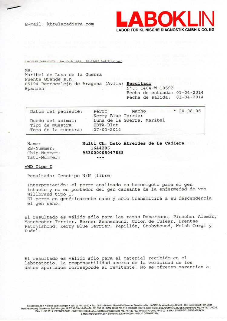 Kerry Blue Terrier de La Cadiera. "Informe Oficial Leto Laboklin DM"