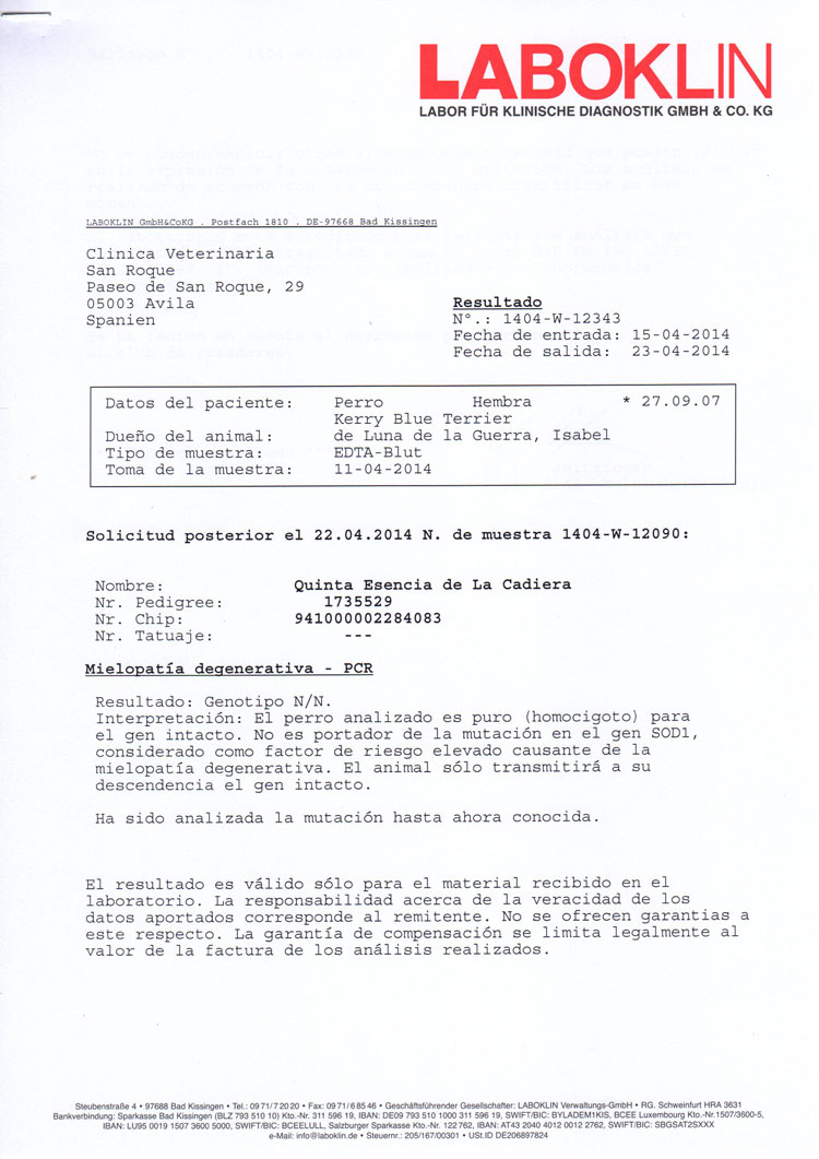 Kerry Blue Terrier de La Cadiera. "Informe Oficial Laboklin Menta DM"