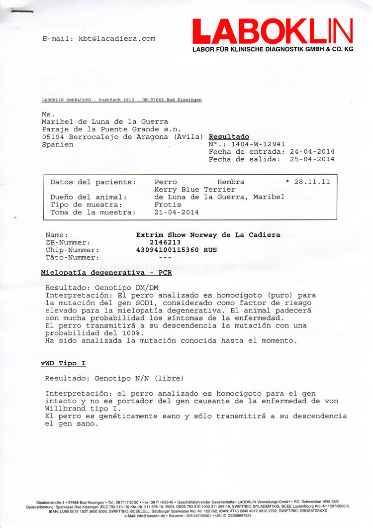 Kerry Blue Terrier de La Cadiera. "Informe Ofdicial Laboklin Norway vWD"
