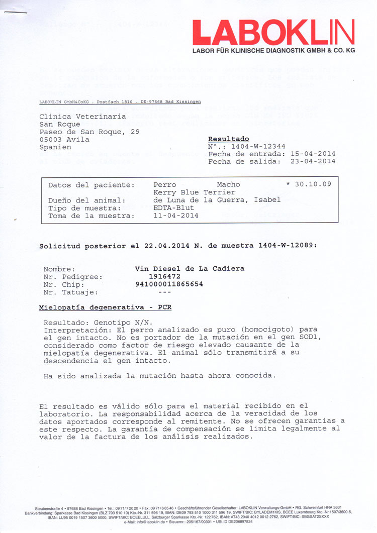 Kerry Blue Terrier de La Cadiera. "Informe Oficial Laboklin Vin DM"