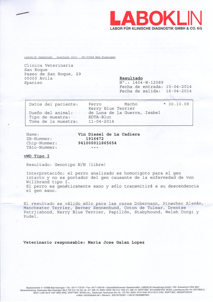 Kerry Blue Terrier de La Cadiera. "Informe Oficial Laboklin Vin vWD"