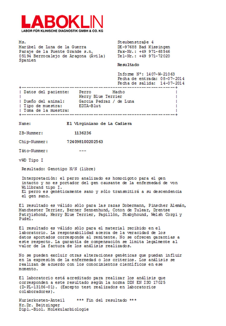 Kerry Blue Terrier de La Cadiera. ""