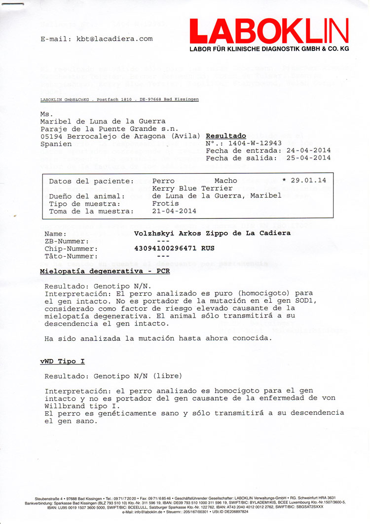 Kerry Blue Terrier de La Cadiera. "Informe Oficial Laboklin Zippo"